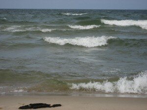 img_2075